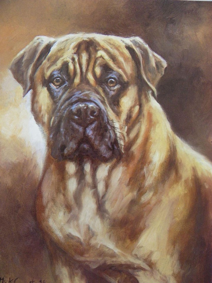 bull mastiff print mick cawston ltd edn 351 850 from