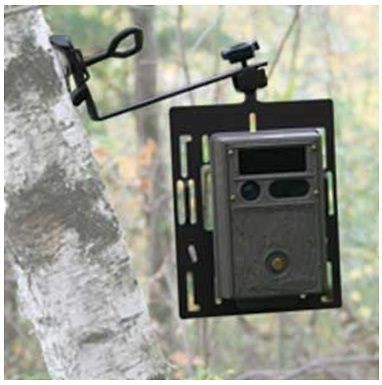   Tracks AV192 Black Metal Universal Hunting TRAIL CAMERA MOUNT 6 Pack