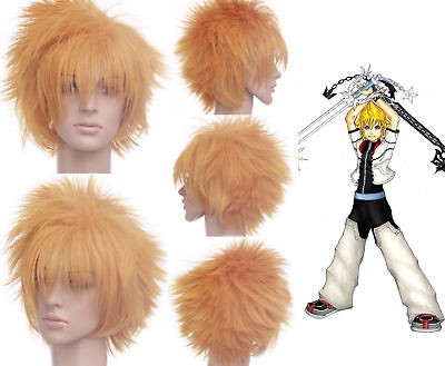 roxas wig in Clothing, 