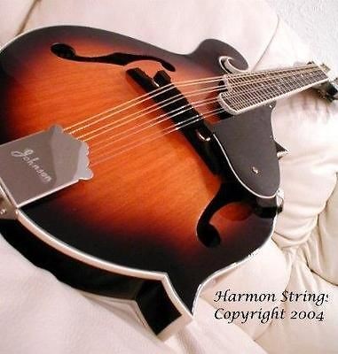 SAVANNAH F STYLE MANDOLIN WITH HARD CASE SF 100 SUNBURST NEW