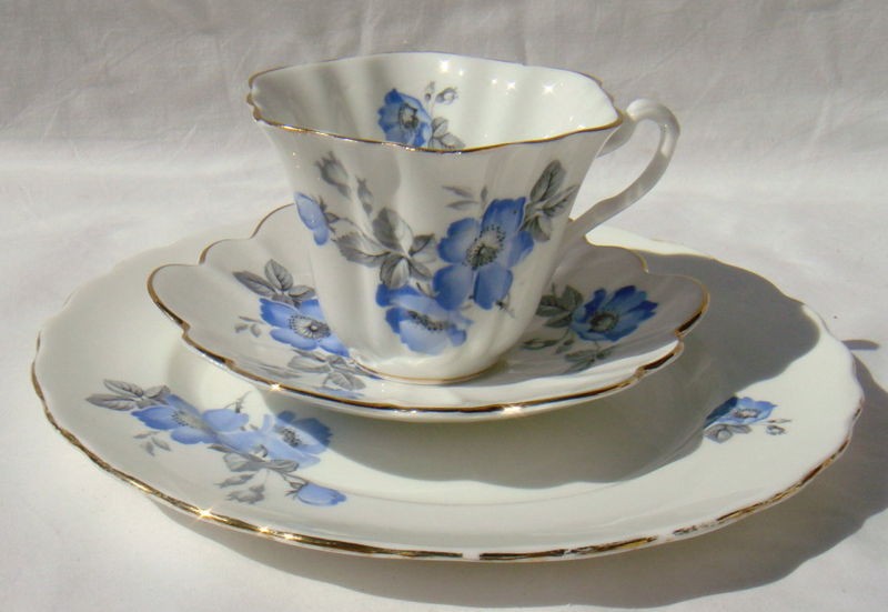 Royal Taunton, Bone China Blue Rose Gray PLATE,CUP & SAUCER,England