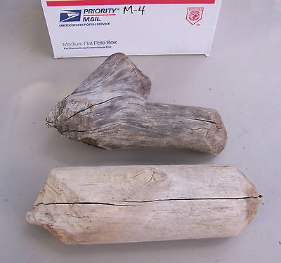 WOOD SPIRIT CARVING BLANKS,BURLS,KNOTS,DRIFTWOOD,ROOTS,GRAB BOXES,M 4