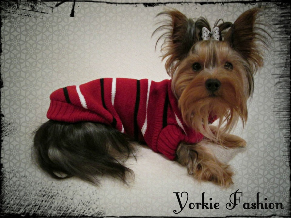   Tea Cup Jumper & Pet Sweater & Cardigan & Yorkshire & Chihuahua Coat