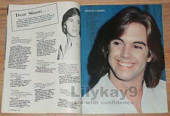 Teen Beat Andy Gibb Leif Garrett Shaun Cassidy Kristy McNichol Dirk 