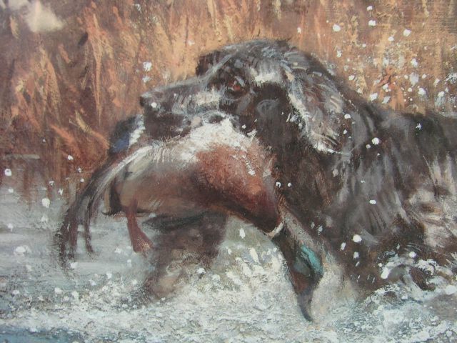 Robert Abbett 1988 Ducks Unlimited Gray Wood Retriever Flyway 