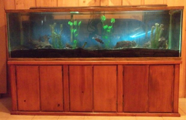   Gallon Aquarium 2 Filters, Glass Top, Oak Cabinet, Light Hood, Heater