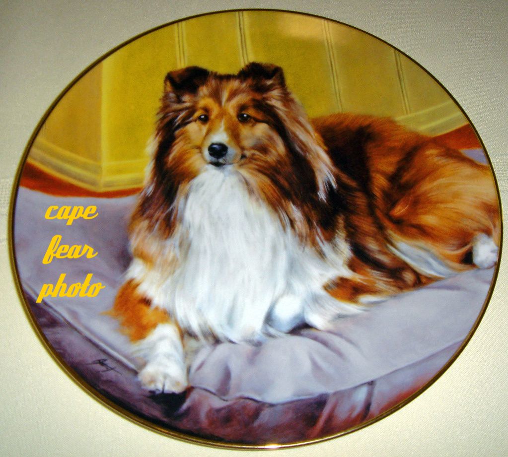 Ed Aldrich Shetland Sheepdogs Home Comforts Plate COA