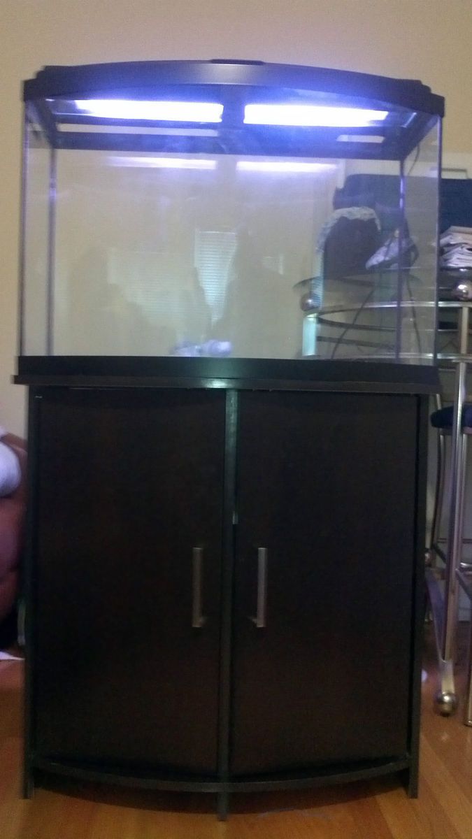 36 Gallon Bowfront All Glass Aquarium with stand filter and 