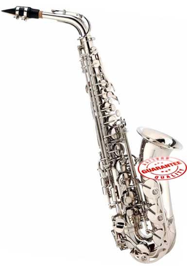 ALTO SAXOPHONE SILVER +PRO CASE+MOUTHPIECE+MORE