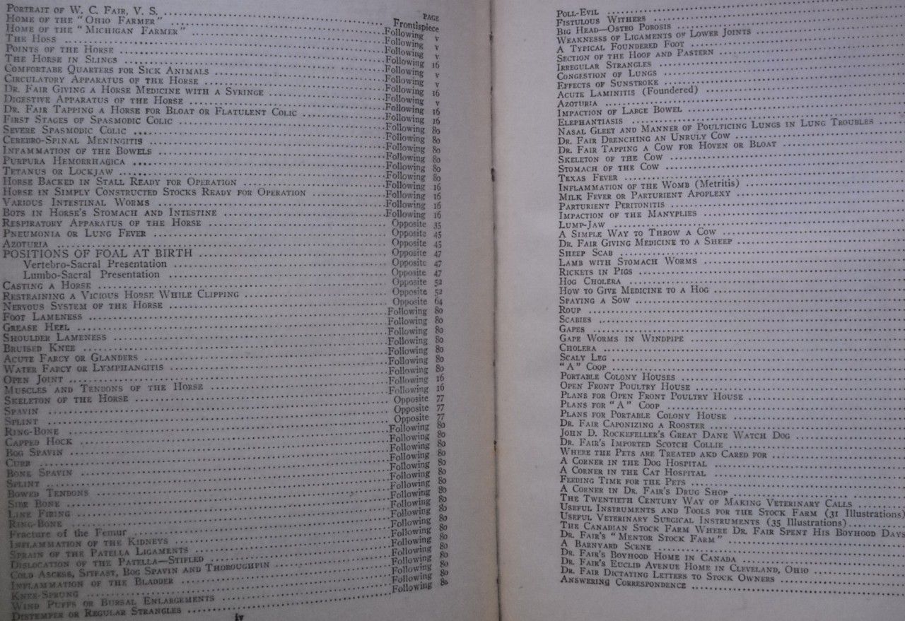 Huge 1919 Antique Medical Animal Cook Book Vtg Cooking Recipes Horse 