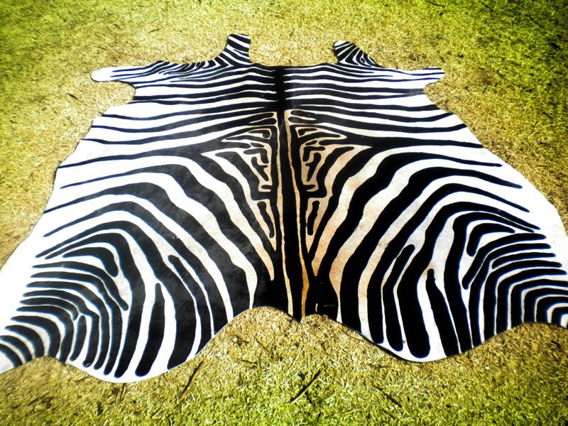 Zebra Print Printed Cowhide Skin Rug Cow Hide DC3614