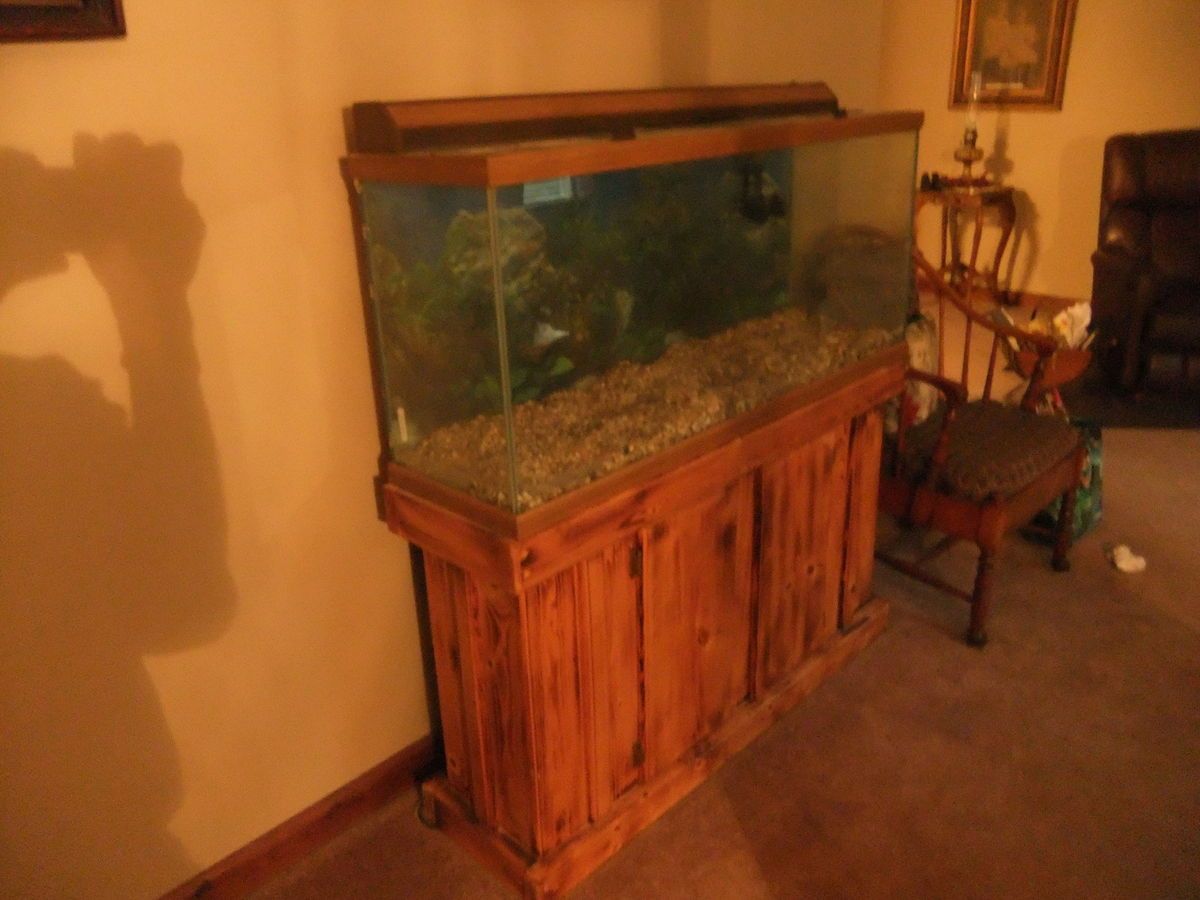 55 gallon Oceanic Aquarium w custom burnt wood stand 2 filter sys 