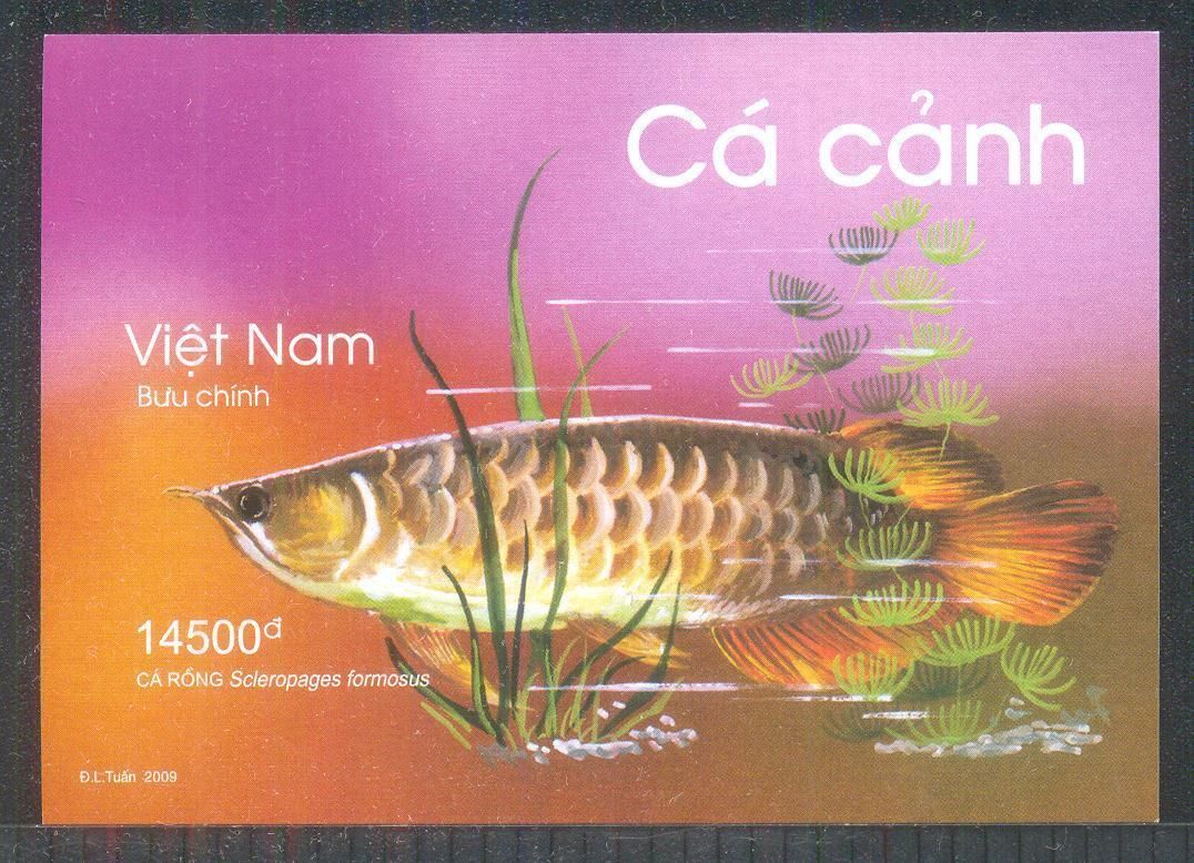   Vietnam Block Ornamental fish Arowana Dragon fish Withdrawn 30 6 2011