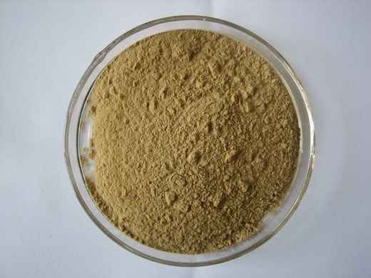 1oz A Artemisia Absinthium Extract Powder 5 1 5X  