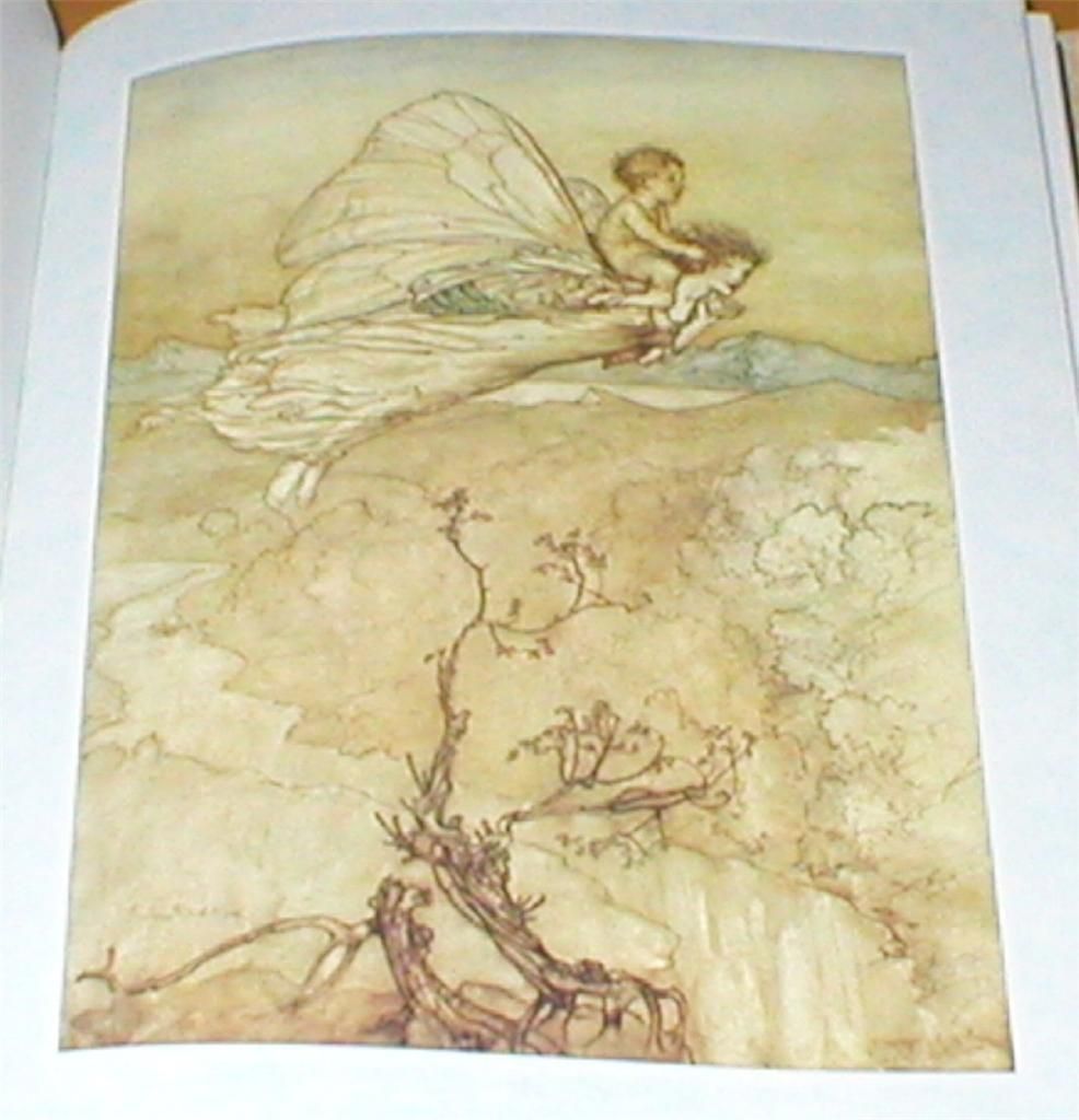 Arthur Rackham 24 Col Plates A Midsummer Nights Dream Shakespeare HB 