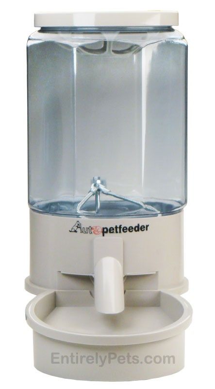 automatic pet feeder medium dogs and cats 15 40 lbs automatic pet 