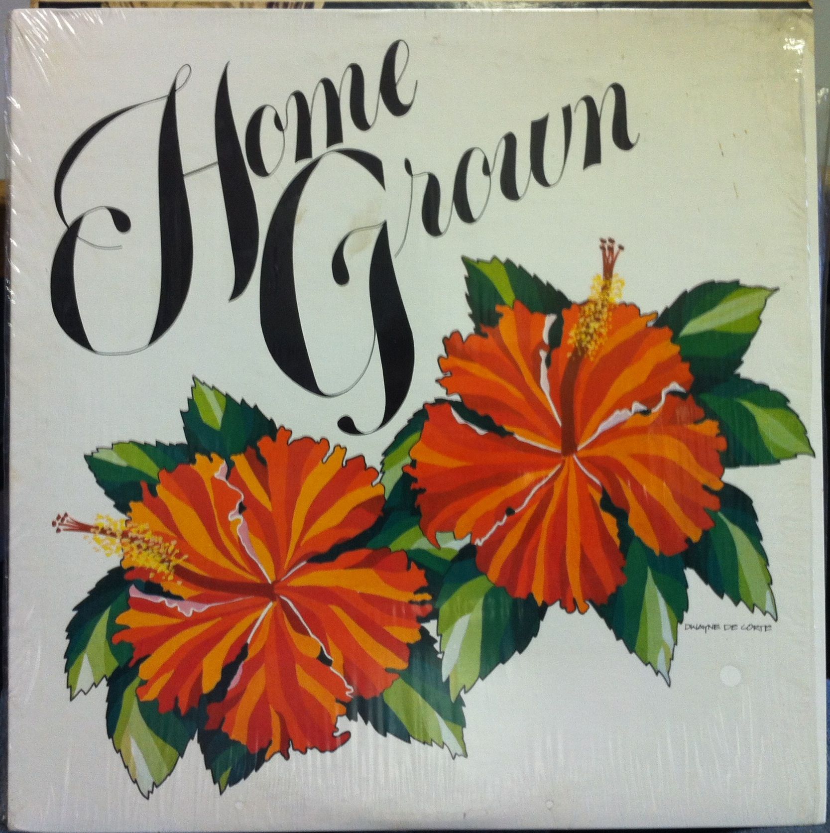 VARIOUS HAWAII FUNK DISCO home grown ii LP Mint  Private Funk Breaks 