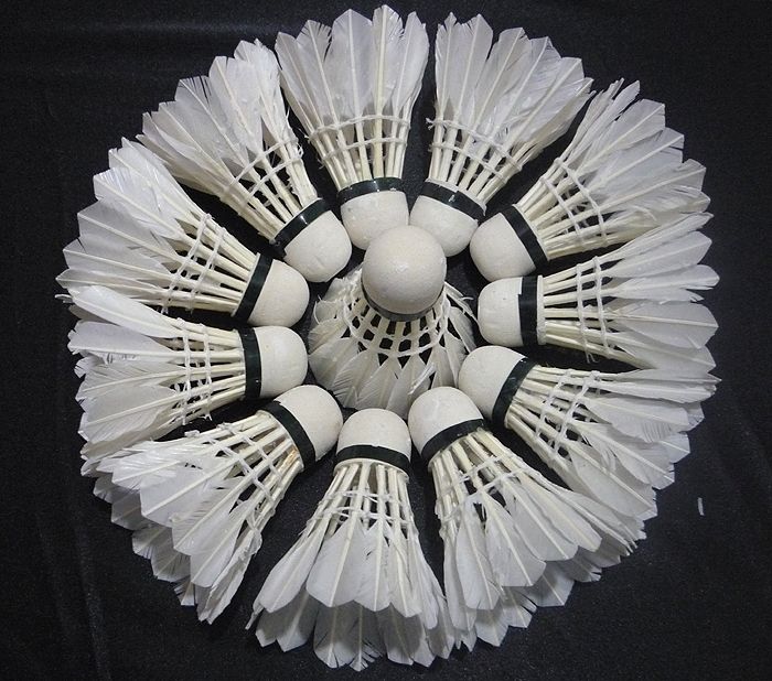 White Sport Goose Feather Shuttlecocks Birdies Badminton X 12PC