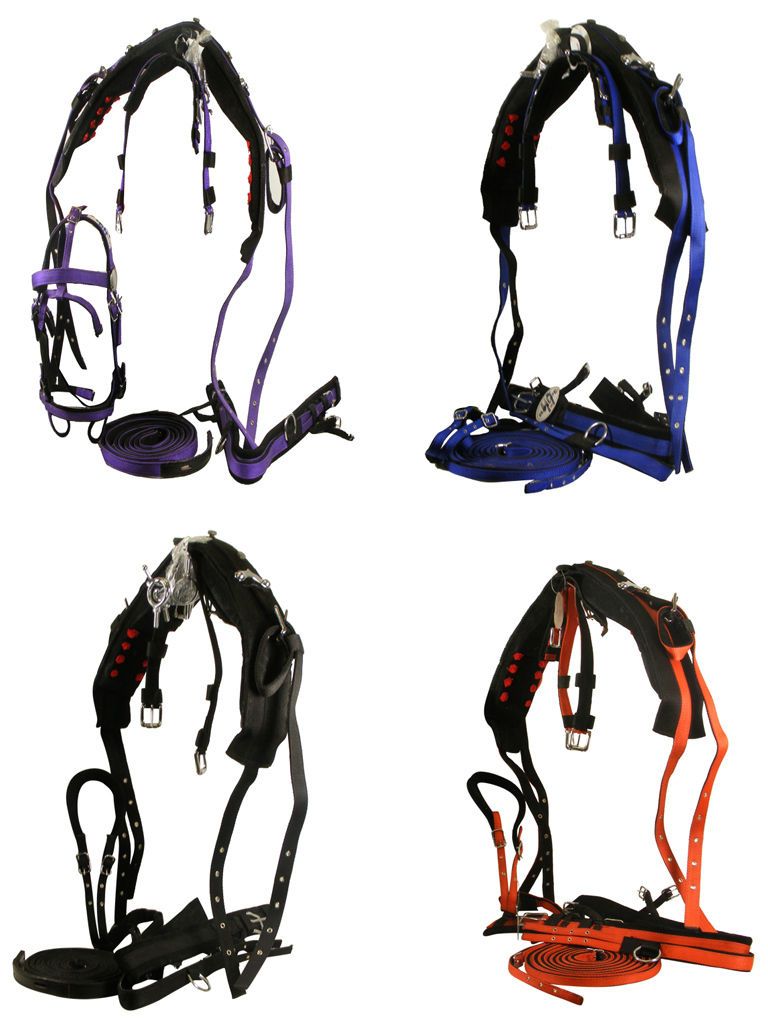   harness all sizes more options colour size  152 84 buy it