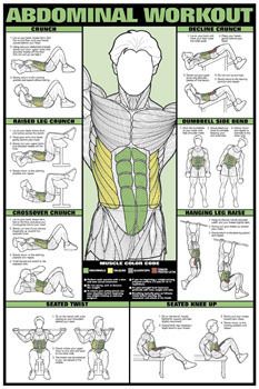 Abdominal Workout Wall Chart Fitness Training Poster