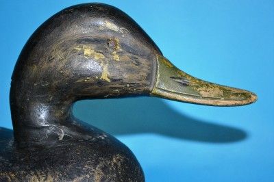 Black Duck Decoy Chincoteague Ira Hudson 1876 1949