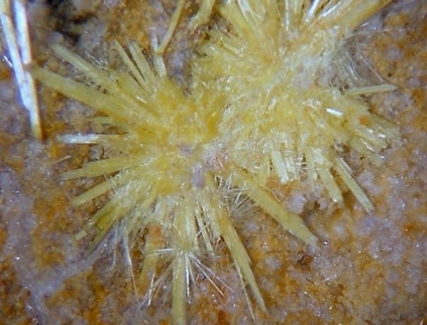 SUPERB BOLTWOODITE Crystals   Fluorescent   Amboy, CALIFORNIA