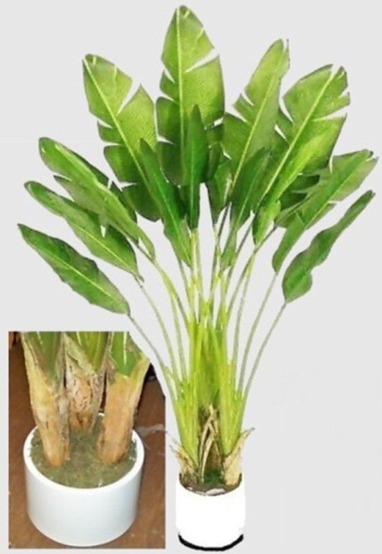 Silk Travelers Banana Palm Tree Plant Artificial