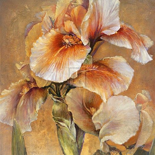 Carney Golden Iris Flower Still Life Botanical Print