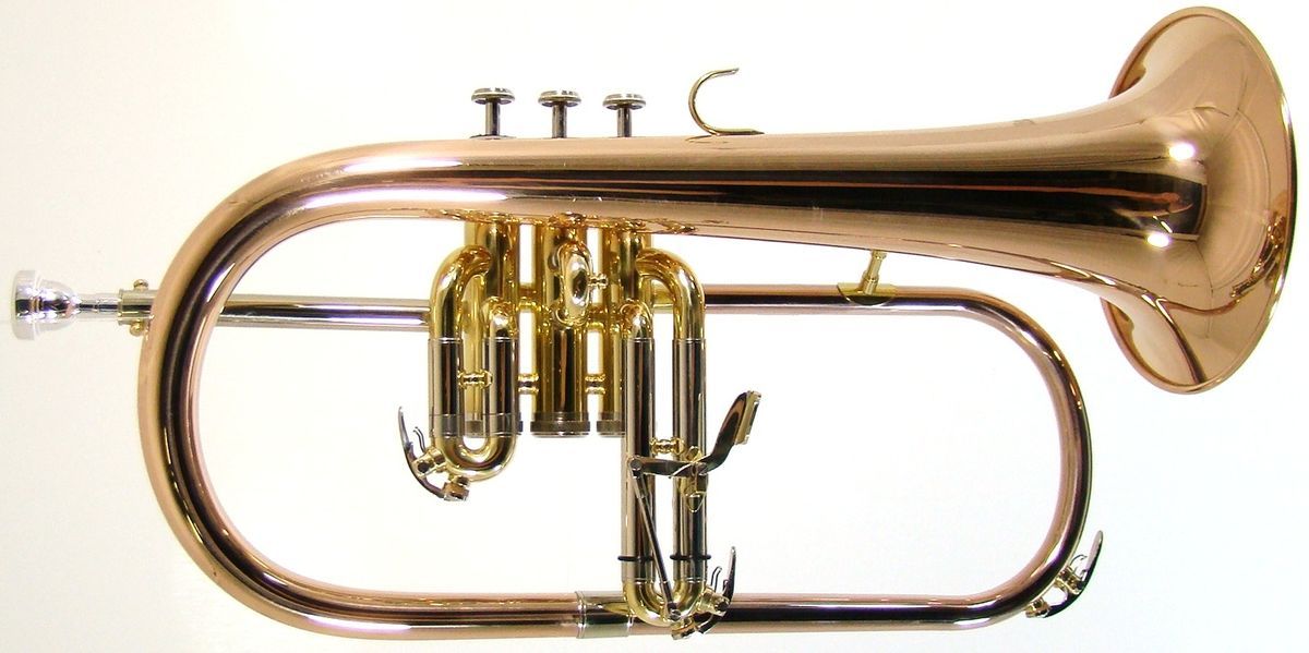 The Barrington Flugelhorn is a mellow sounding instrument and at a 