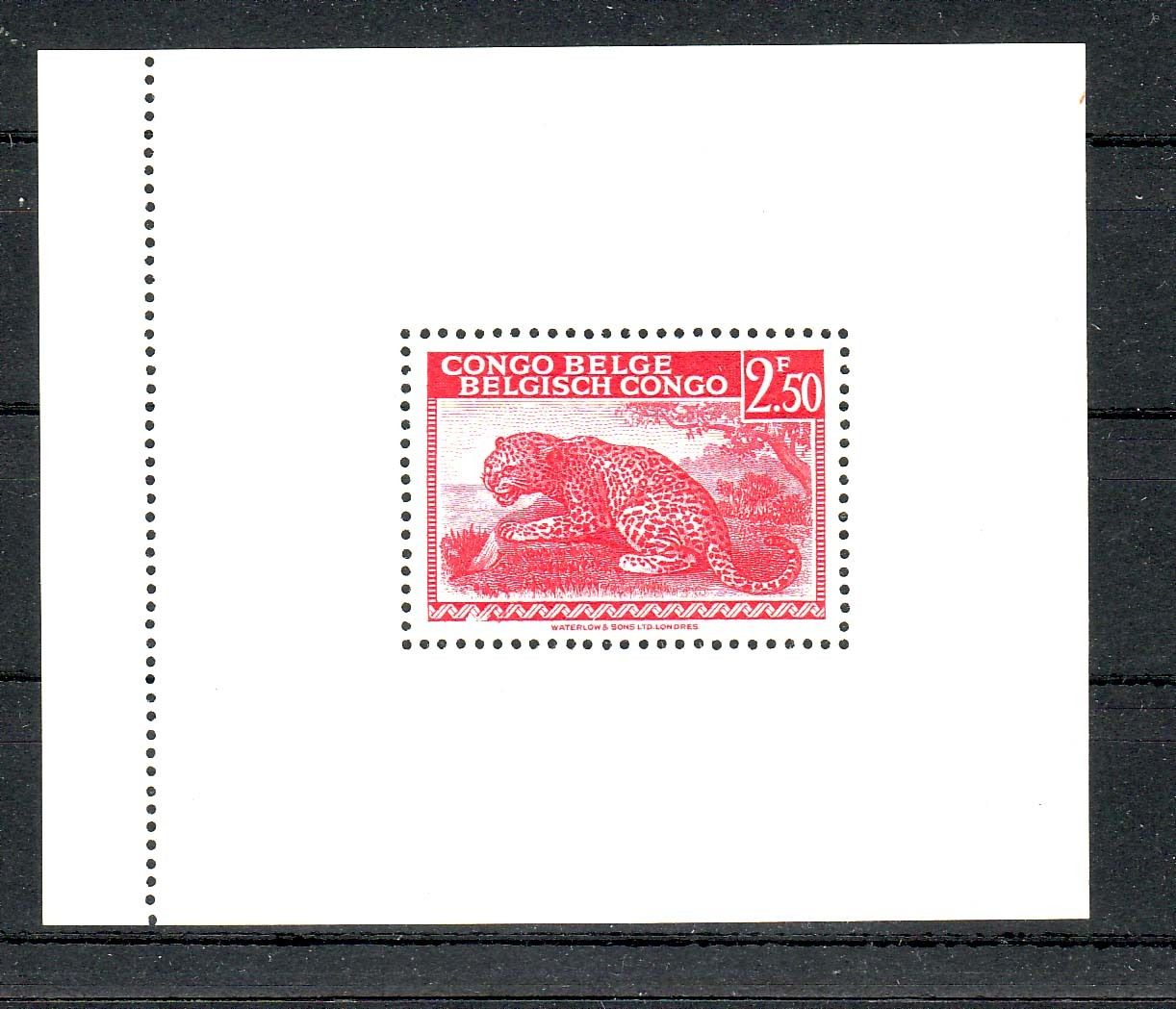 BELGIUM CONGO 1943 S/S  MESSAGE  2,50 FR MNH