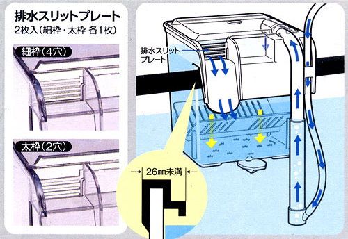   the breeding of betta and killifish the isolation of the fish box weak