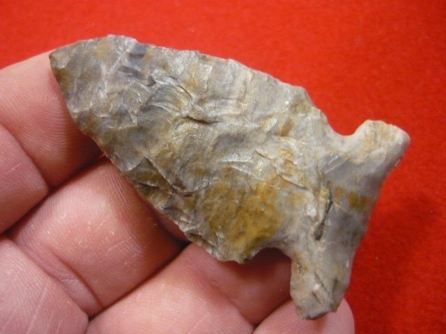 Nice Ohio Coshocton Big Sandy Arrowhead Guaranteed Authentic