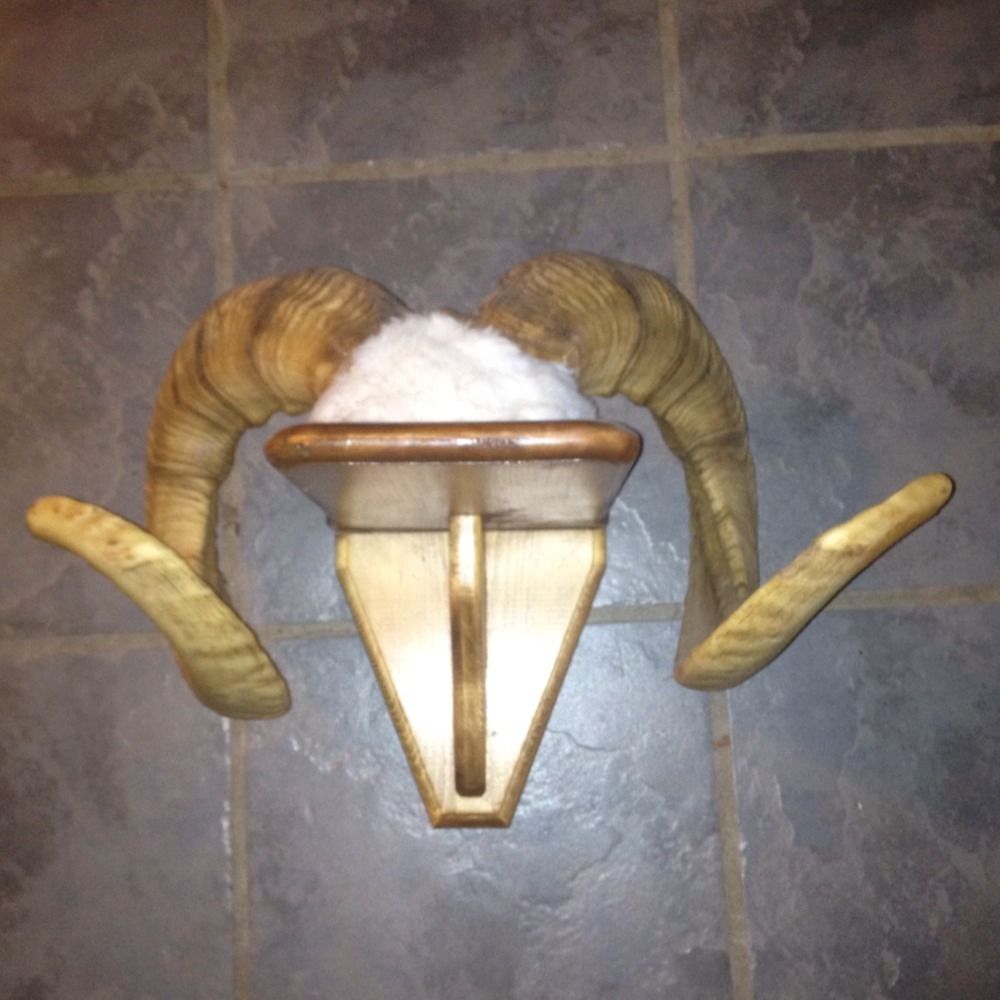 Bighorn Sheep Horn Ram Mount On Wood Plaque