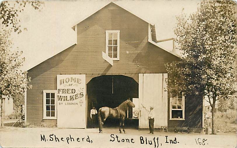 IN, Stone Bluff, Indiana, RPPC, Pacing Horse Fred Wilkes, Horse Racing 