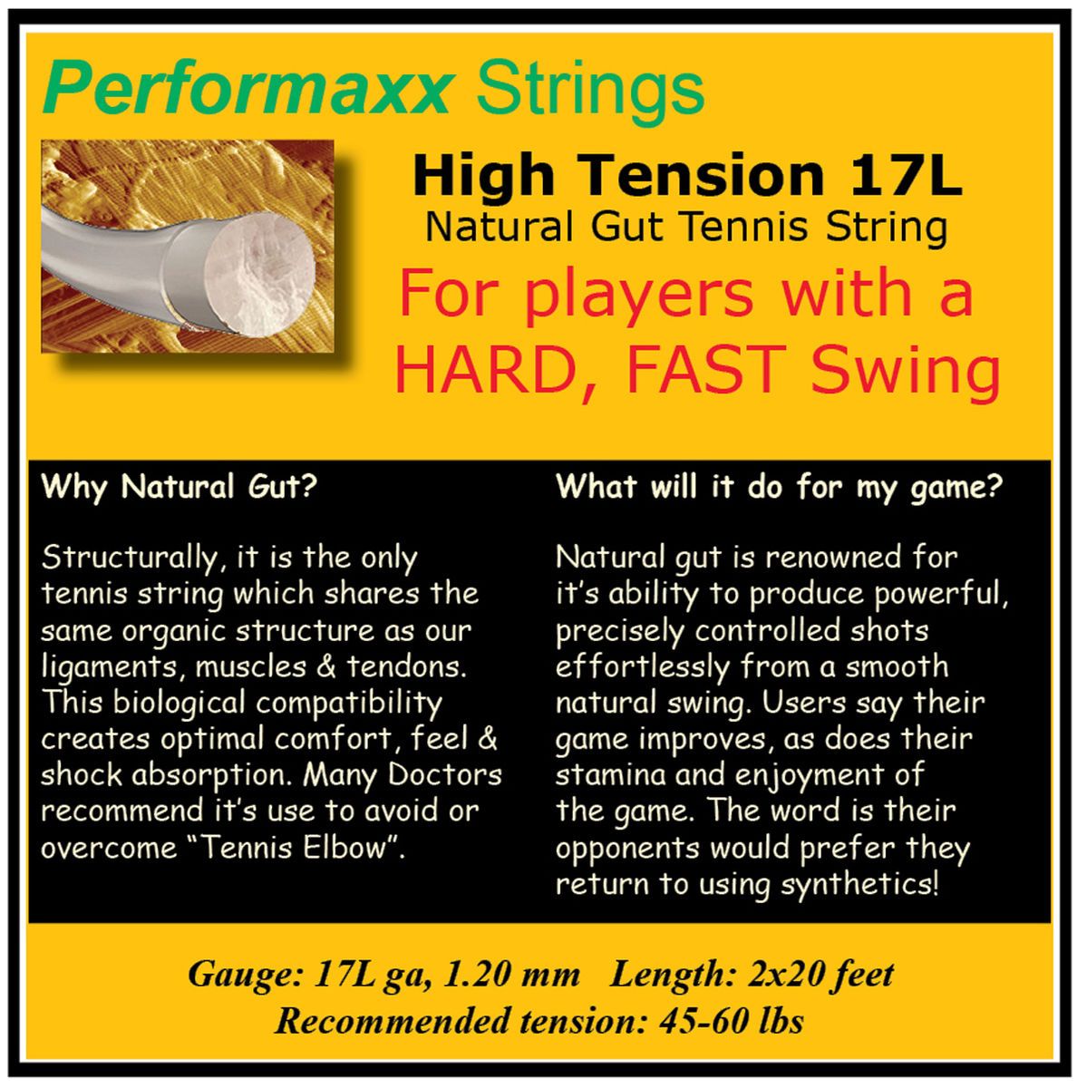  Performaxx Whispertouch HT 1 20 Natural Gut