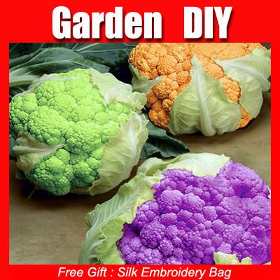 30 Seeds Non Hybrid Broccoli Waltham Vegetables SS011