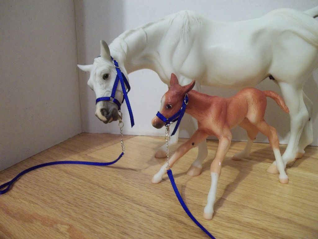 blue breyer susecion le fire halter lead tack set time