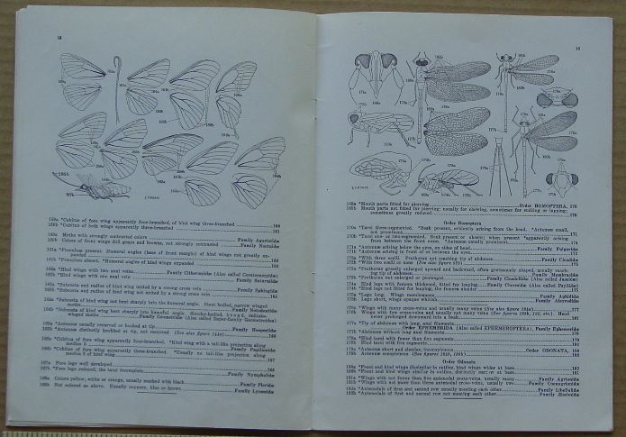 Dichotomous Keys Insect Orders Families Illus L K