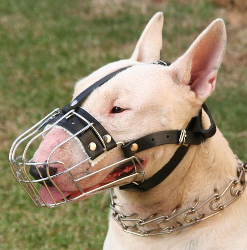 New Metal Padded Wire Basket Dog Muzzle Boxer Pit Bull