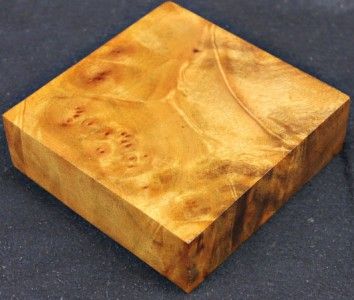 exotic wood camphor burl turning blank cp667