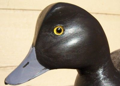 MINT c1980 Maynard Caine Drake Bluebill Wood Duck Decoy; Gananoque 