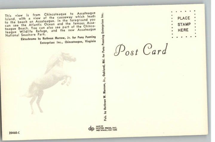 Postcard Chincoteague & Assateague IslandVirginia/VA