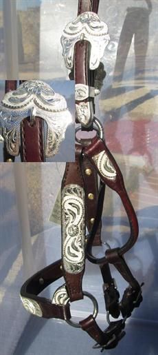 New Dark Oil Dale Chavez Show Headstall WOW Arab  Morgan Size