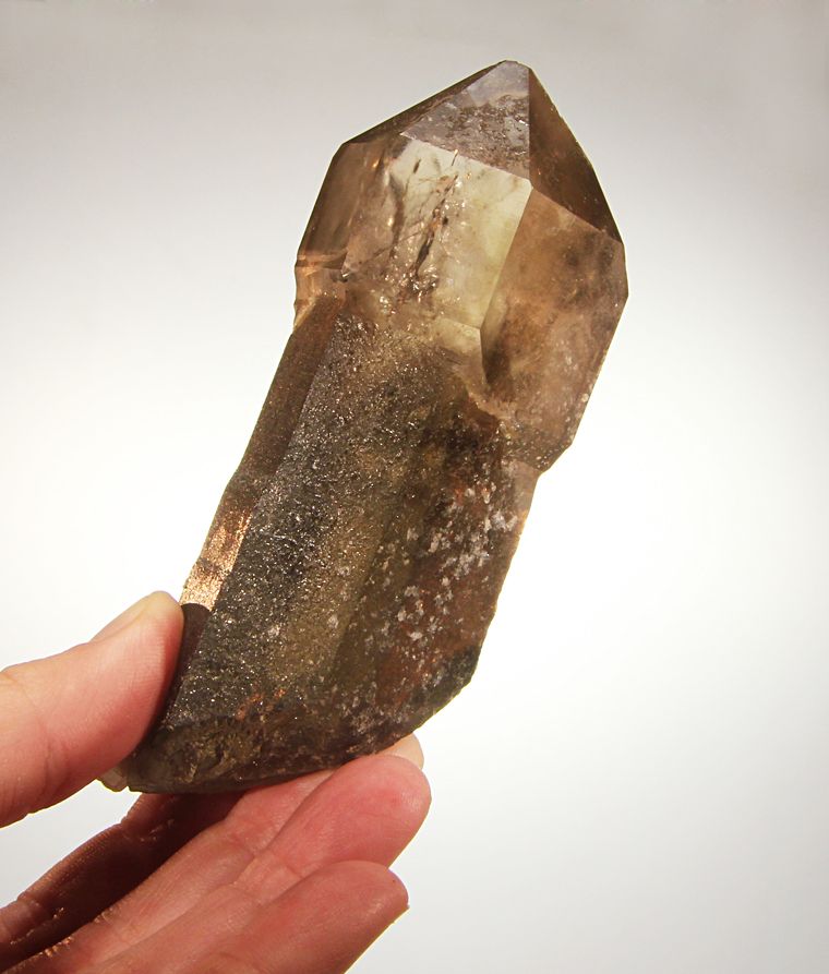 Amazing Sharply Term 4 SCEPTERED SMOKY QUARTZ NV