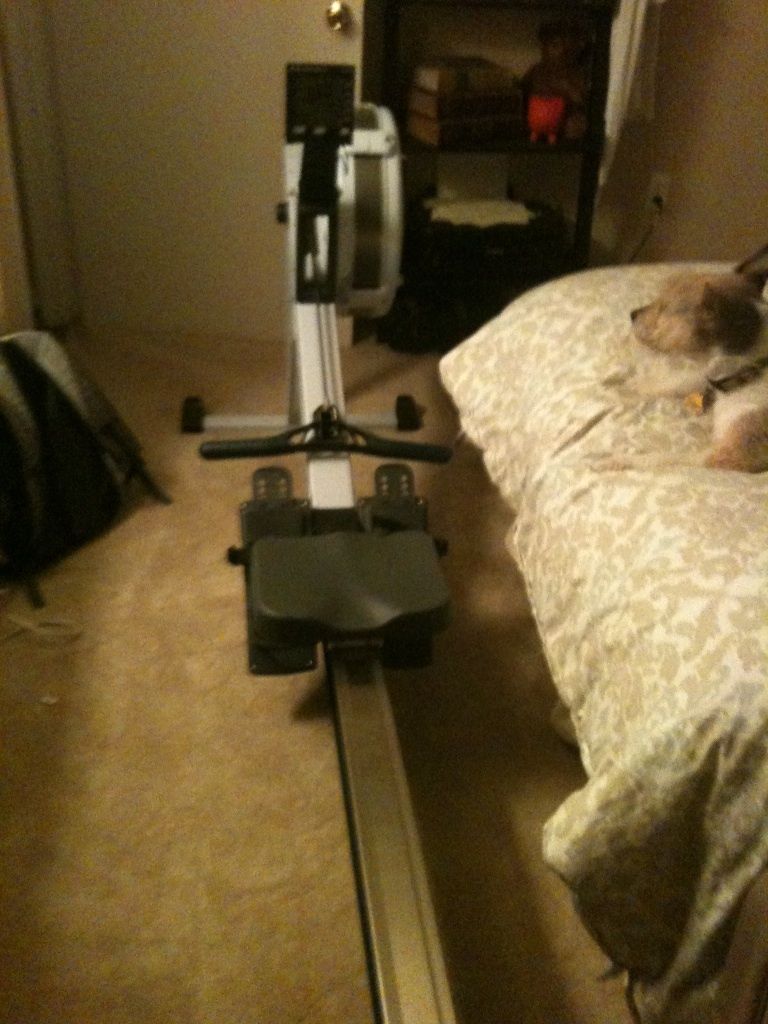 Concept 2 Indoor Rowing Machine