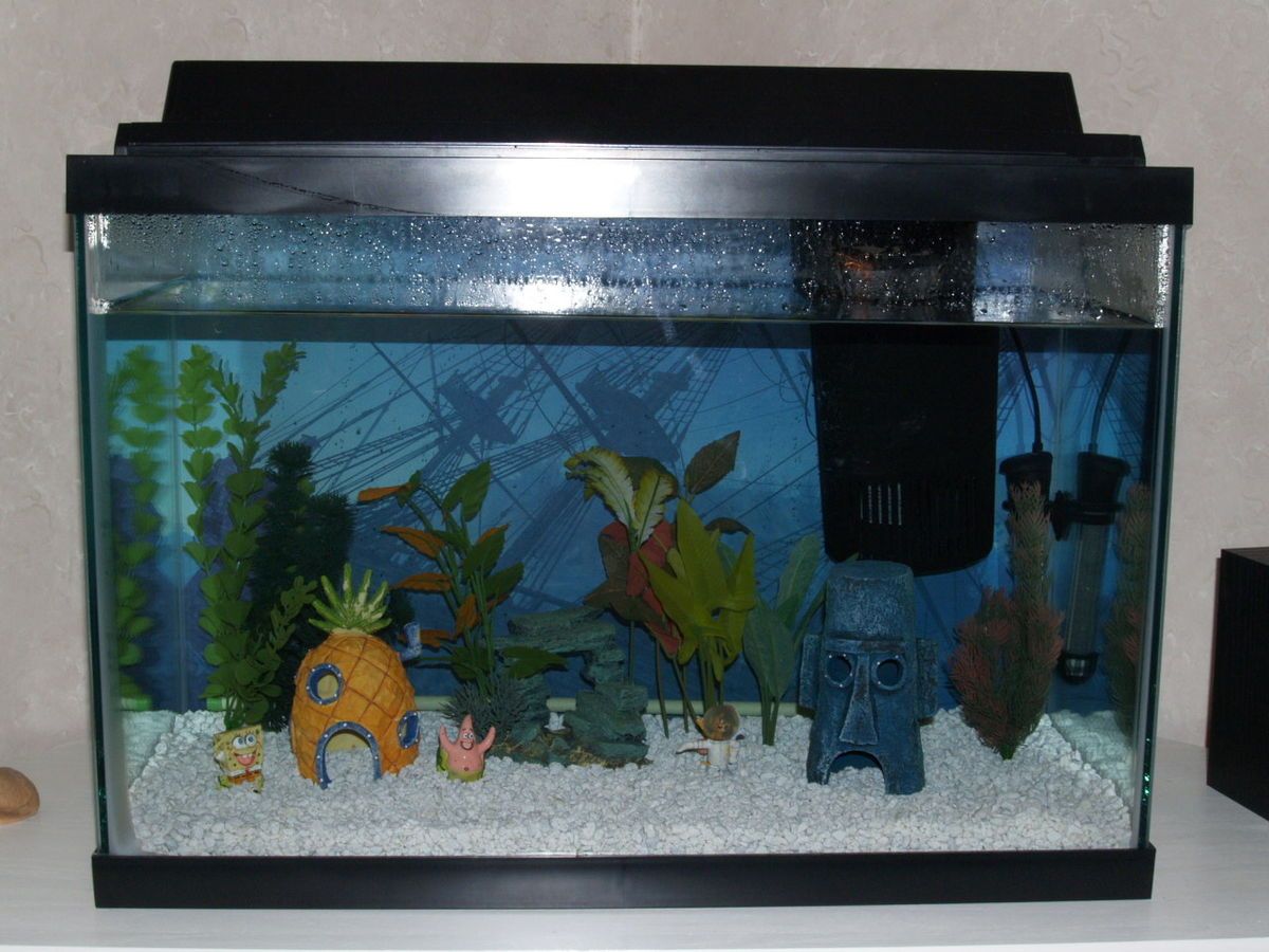 Complete 20 Gallon Fish Aquarium Tank with all Components