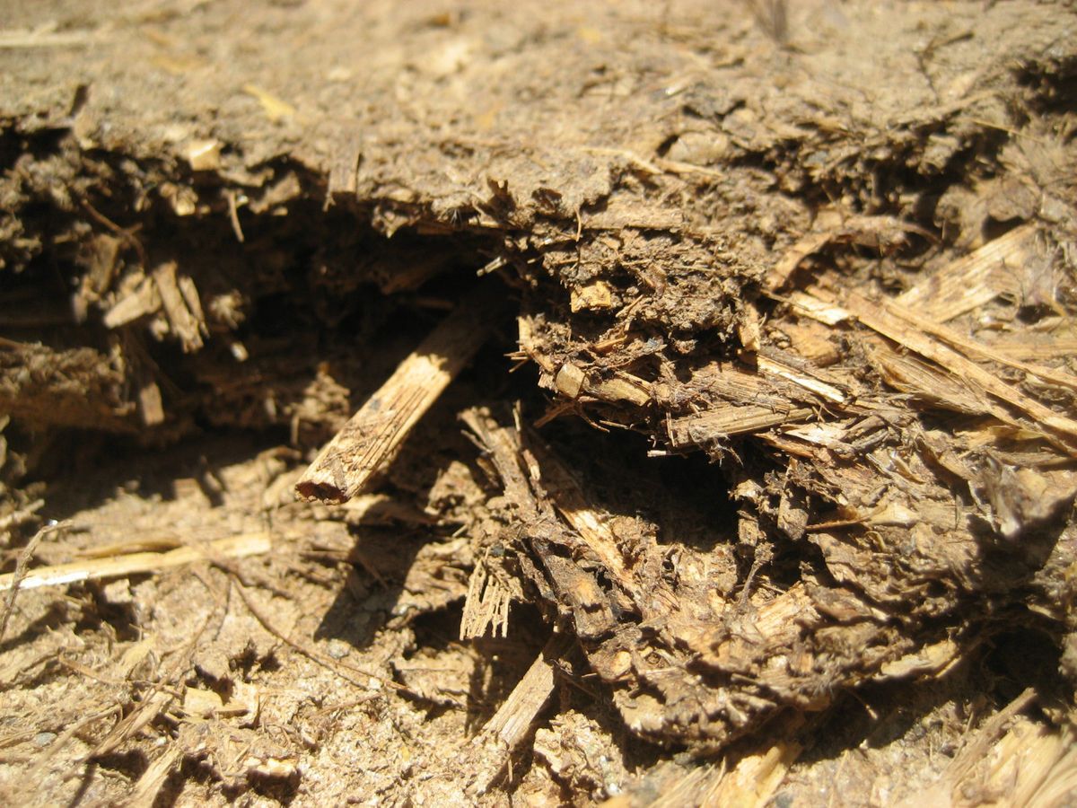  Manure Barnyard Mixture for Mixing to Soil Composting Tea