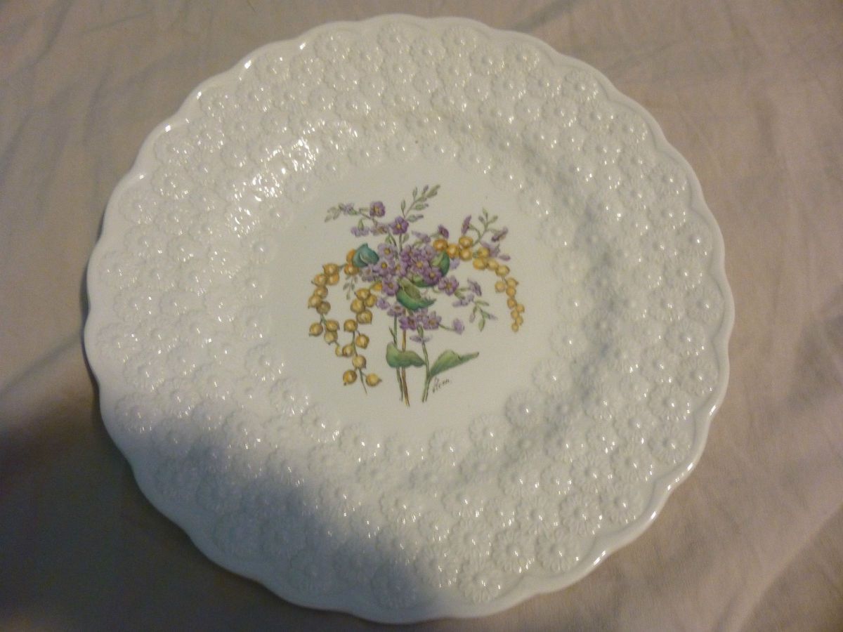 Bermuda Flowers Pigeon Berry Spode Copeland 9