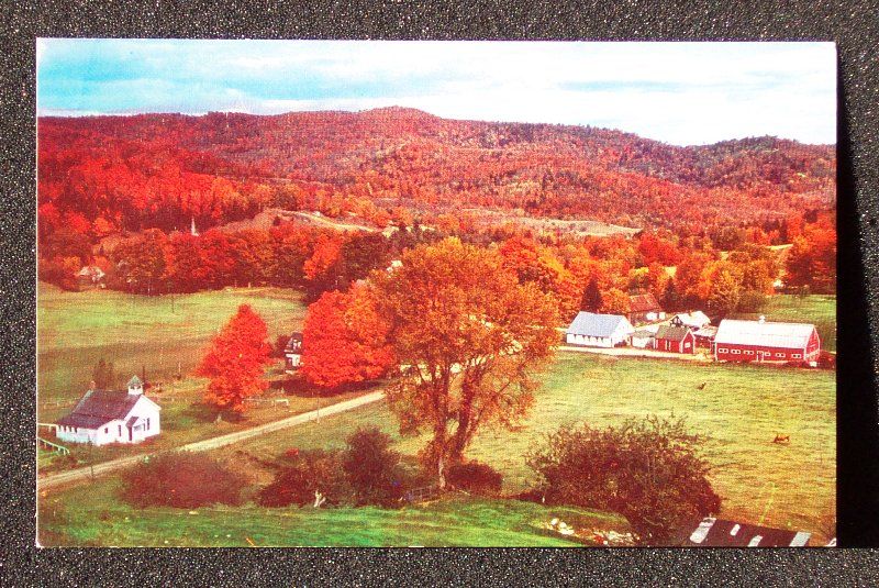 1950s Colorful Autumn Farm Corinth VT Orange Co PC