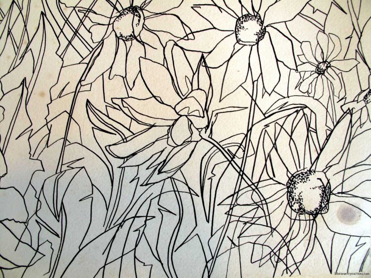  Line Drawing Botanical Study Original Art Ray L Crenna Raylc